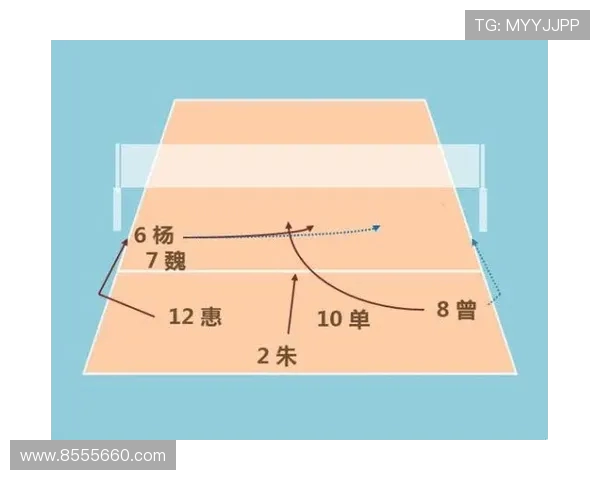 广州排球队在精英赛中的战术表现分析与点评探讨