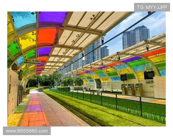 广州滑板队的快攻革新与未来发展探索之路