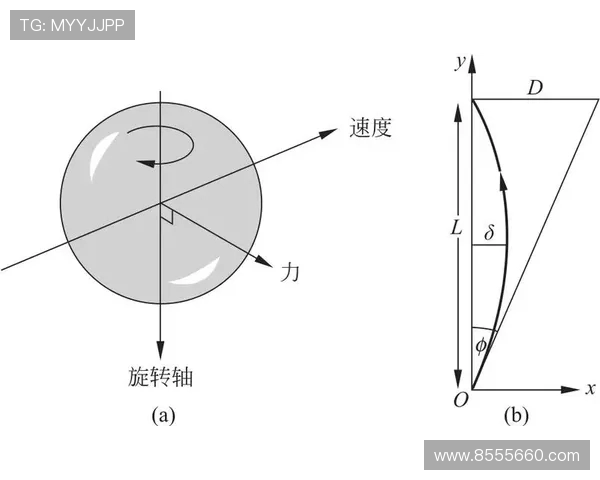 广州足球队的速度分析与战术应用探讨