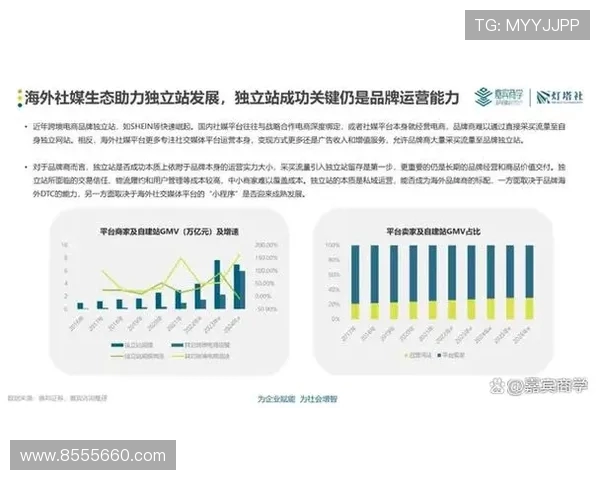 数据分析揭示WE灵活性表现的深度洞察与未来发展潜力 数据分析揭示WE灵活性表现的深度洞察与未来发展潜力