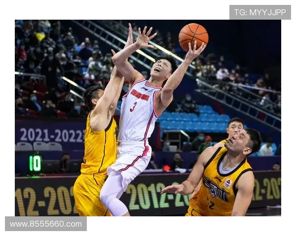 八一广厦迎战广东海豚期待精彩对决与激烈碰撞