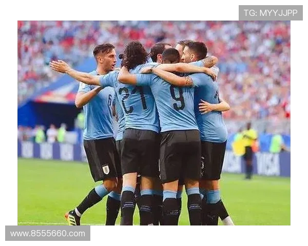 厄瓜多尔与乌拉圭比赛前瞻分析及胜负预测详解