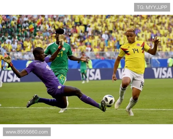 巴西与哥斯达黎加激战CCTV5直播精彩瞬间回顾与分析