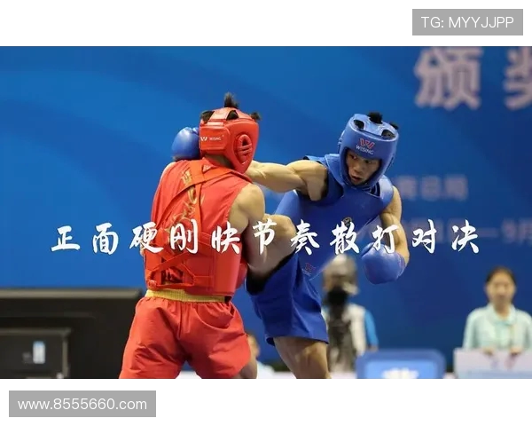 王文忠散打挑战欧洲高手展现中国武术风采与实力对决