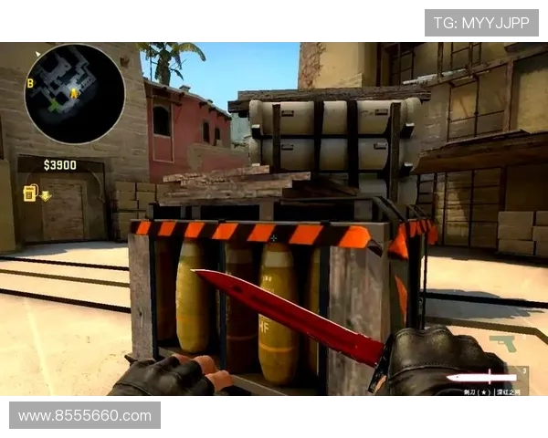 CSGO战术分析：深入探讨WE战队的进攻策略与执行技巧