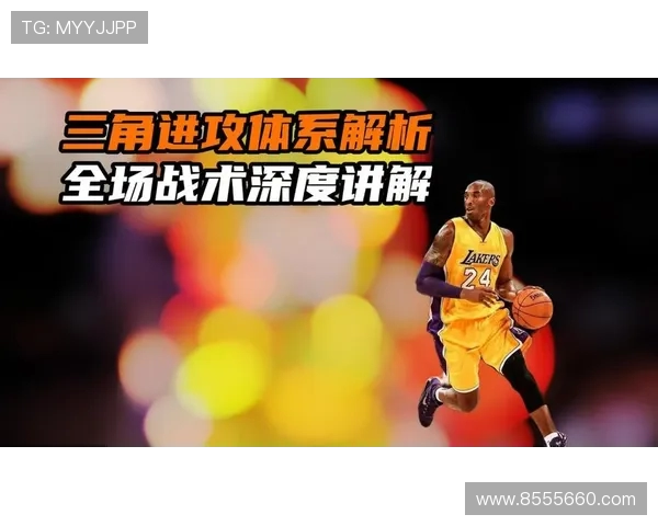广州篮球队比赛经验深度解析与战术探讨