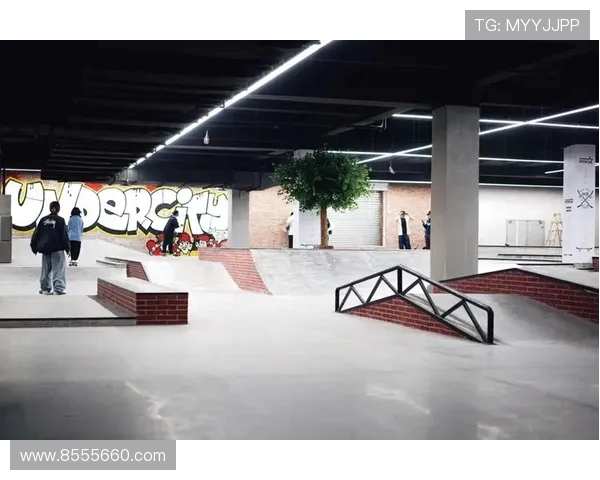 成都滑板队意识形态的深度对比与发展趋势分析