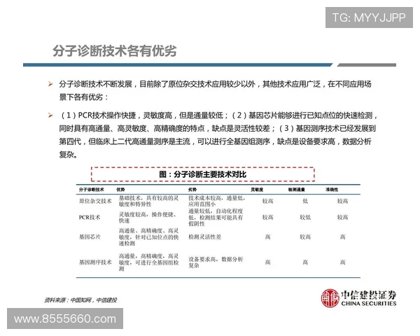 深圳排球队灵活性分析：战术调整与球员适应能力的深度探讨